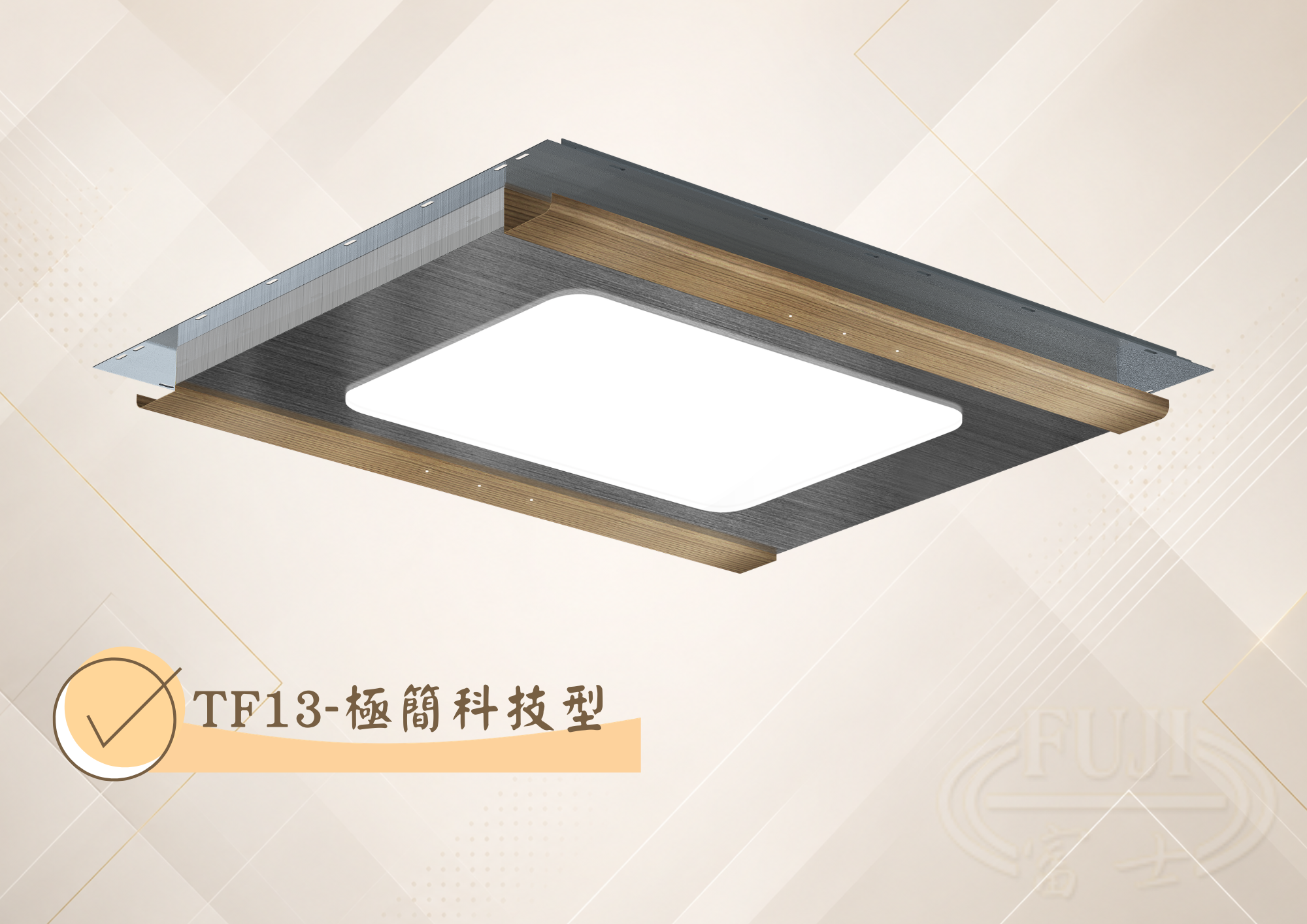 家庭電梯天井 TF13 極簡科技型